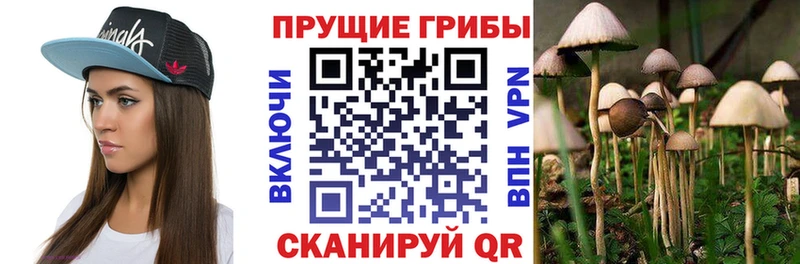 магазин    мега зеркало  Галлюциногенные грибы прущие грибы  Камбарка 